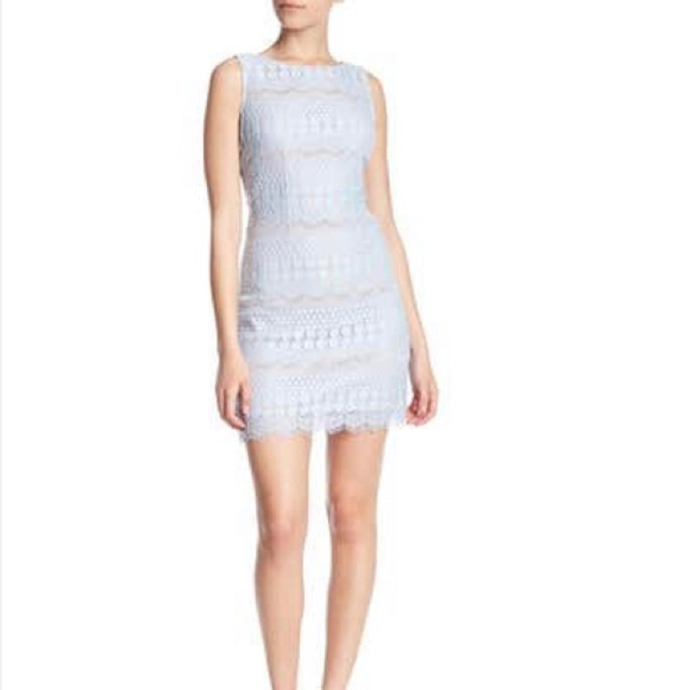 Elisa J Lace Shift Dress